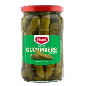 شانی خیارشور شیشه ویژه ریز 670 گرم 6عددی